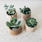 Set of 4 small indoor planters