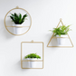 Set 3 Hanging Planters for Wall