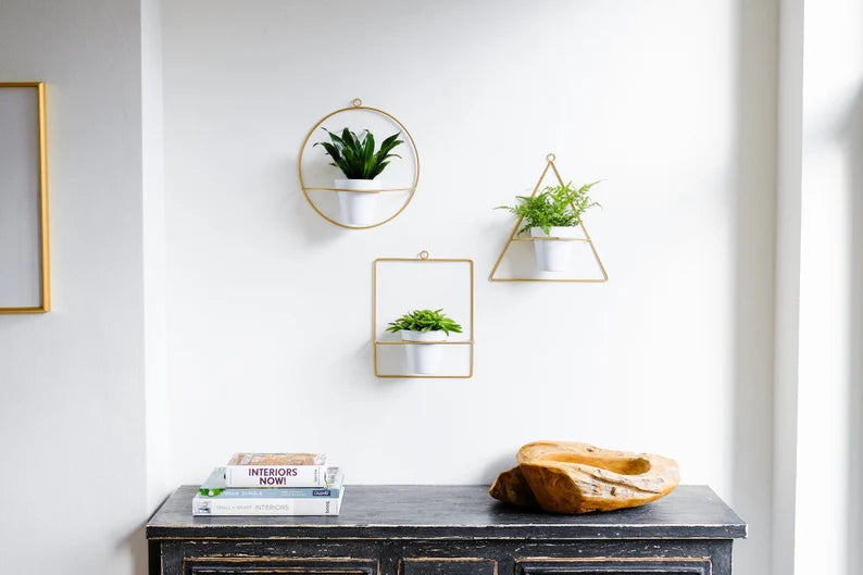 Set 3 Hanging Planters for Wall